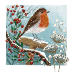 Christmas Card - fronsty robin