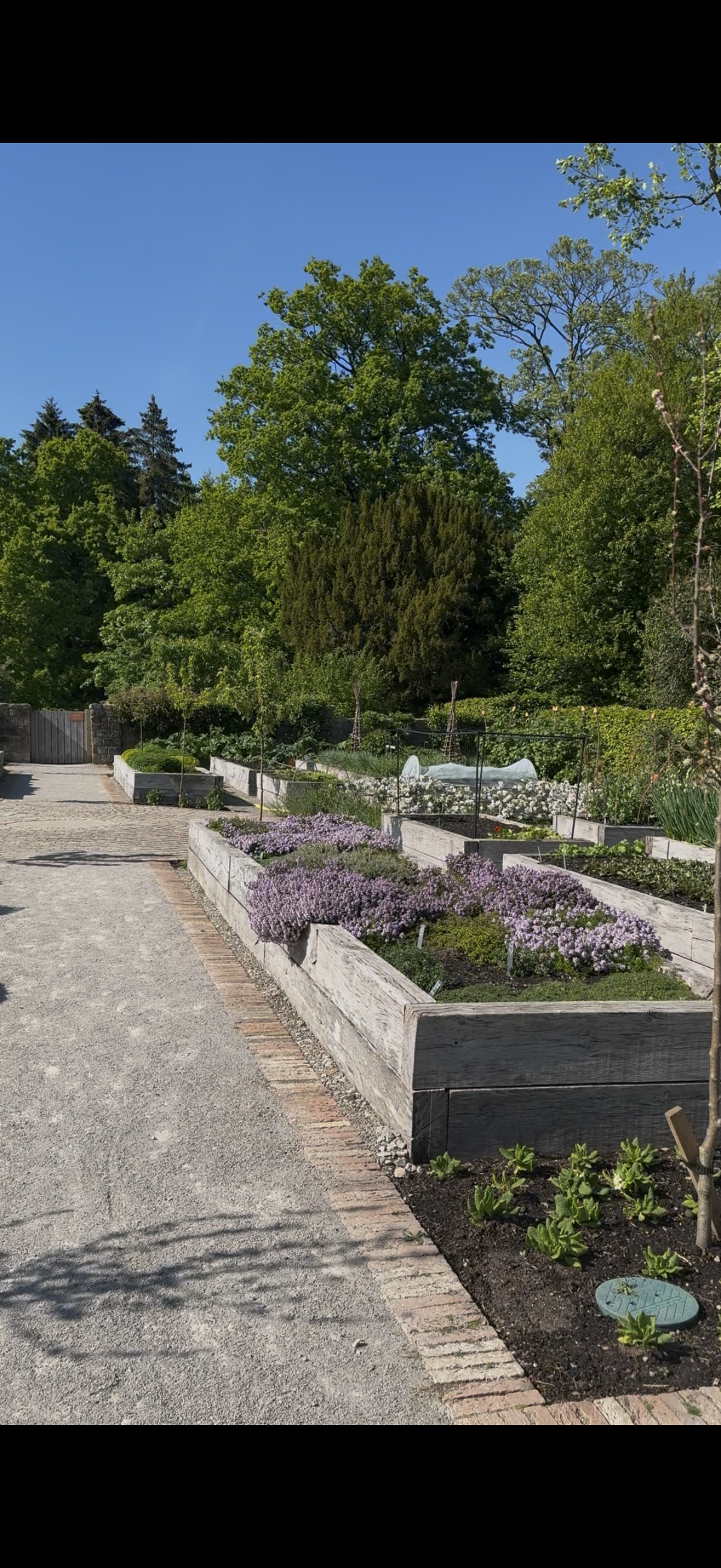 Rudding Park 1