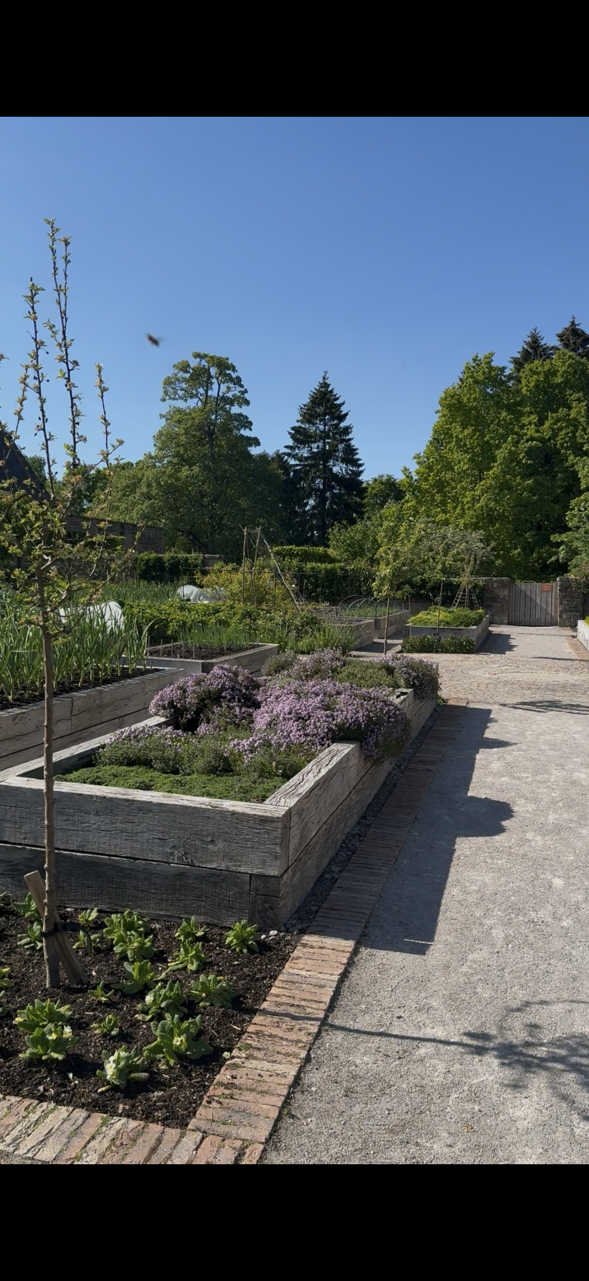 Rudding Park 2