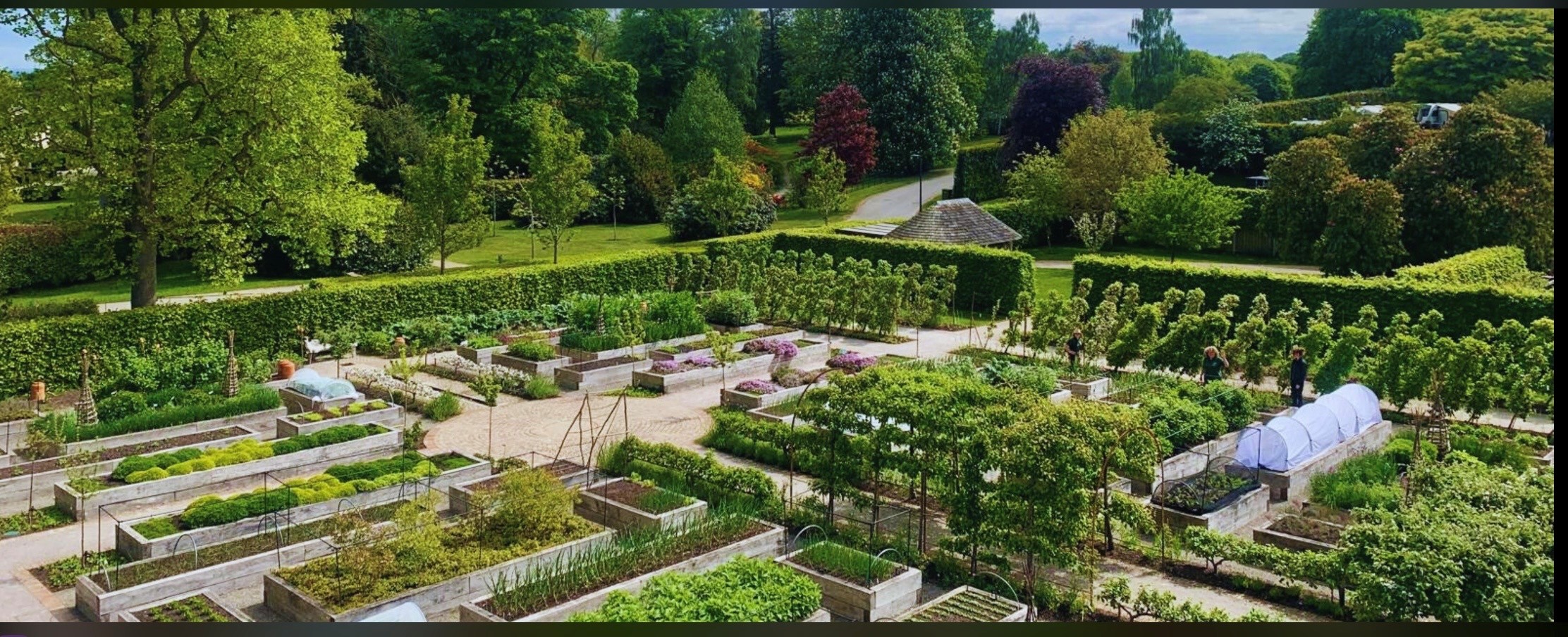 Rudding Park 7